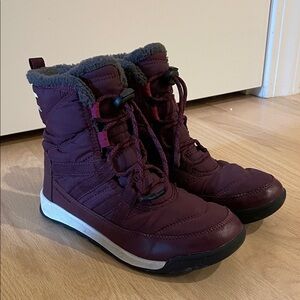 Sorel Whitney Women's Waterproof Winter Boots